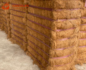 Coconut fiber coconut