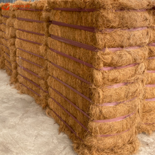 Coconut fiber coconut